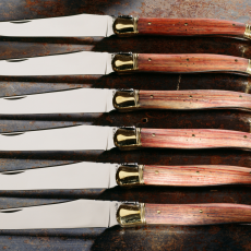 A Guide to the Features and Uses of Best Steak Knives